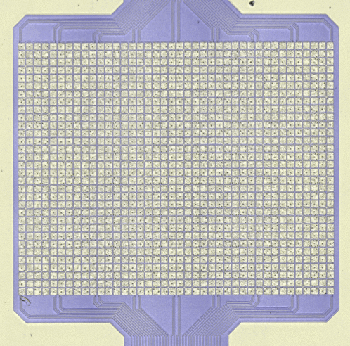 image of LMX array